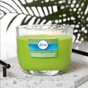 FEBREZE HOME COLLECTION SCENTED JAR CANDLE, GERANIUM BAMBOO, 12 OZ, SINGLE